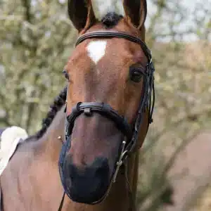 Muzzle Net